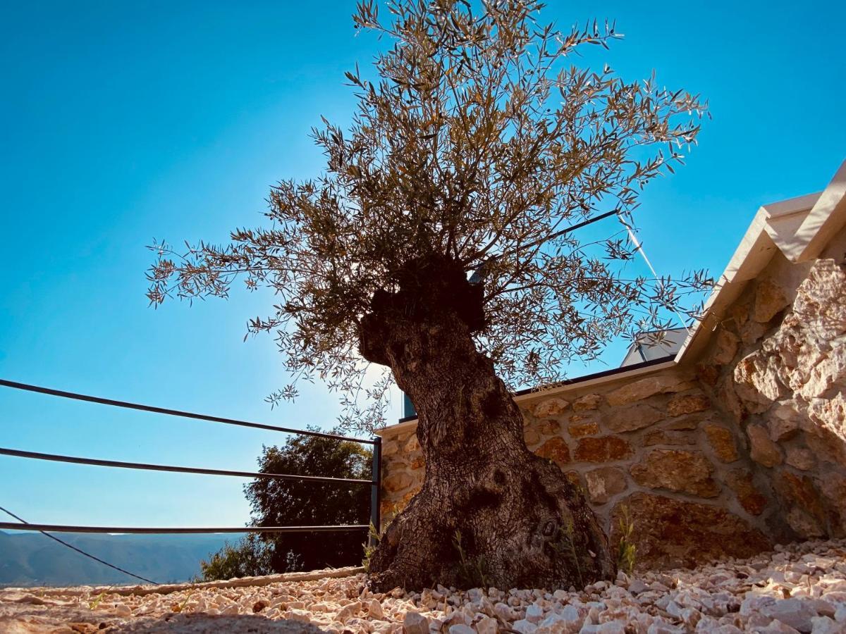 Villa Magic Look Donji Prolozac Bagian luar foto